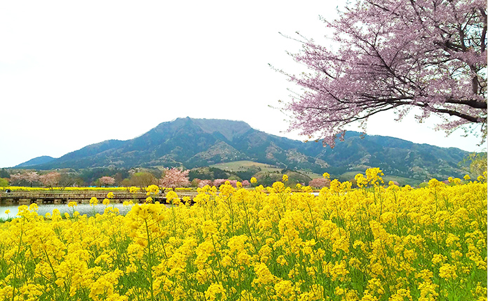 上堰潟公園