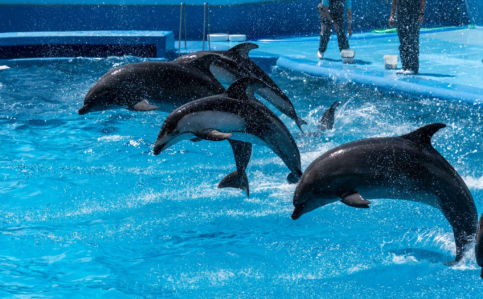 新潟市水族館 マリンピア日本海
