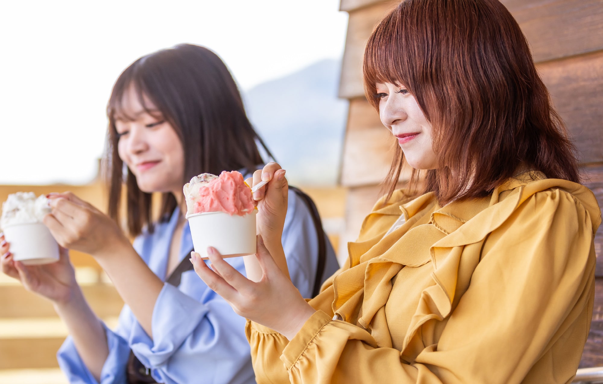 チェックアウト